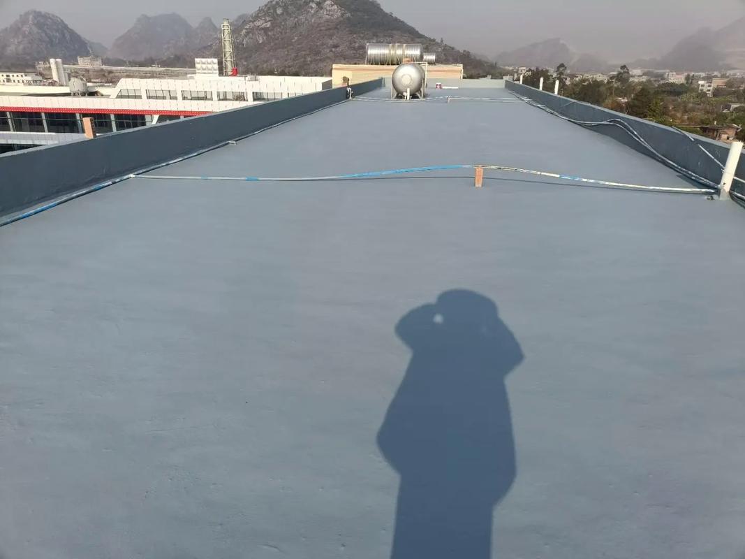 广州广州屋顶防水补漏：专业根治渗漏，24小时上门，告别反复维修陷阱/>
<blockquote class=